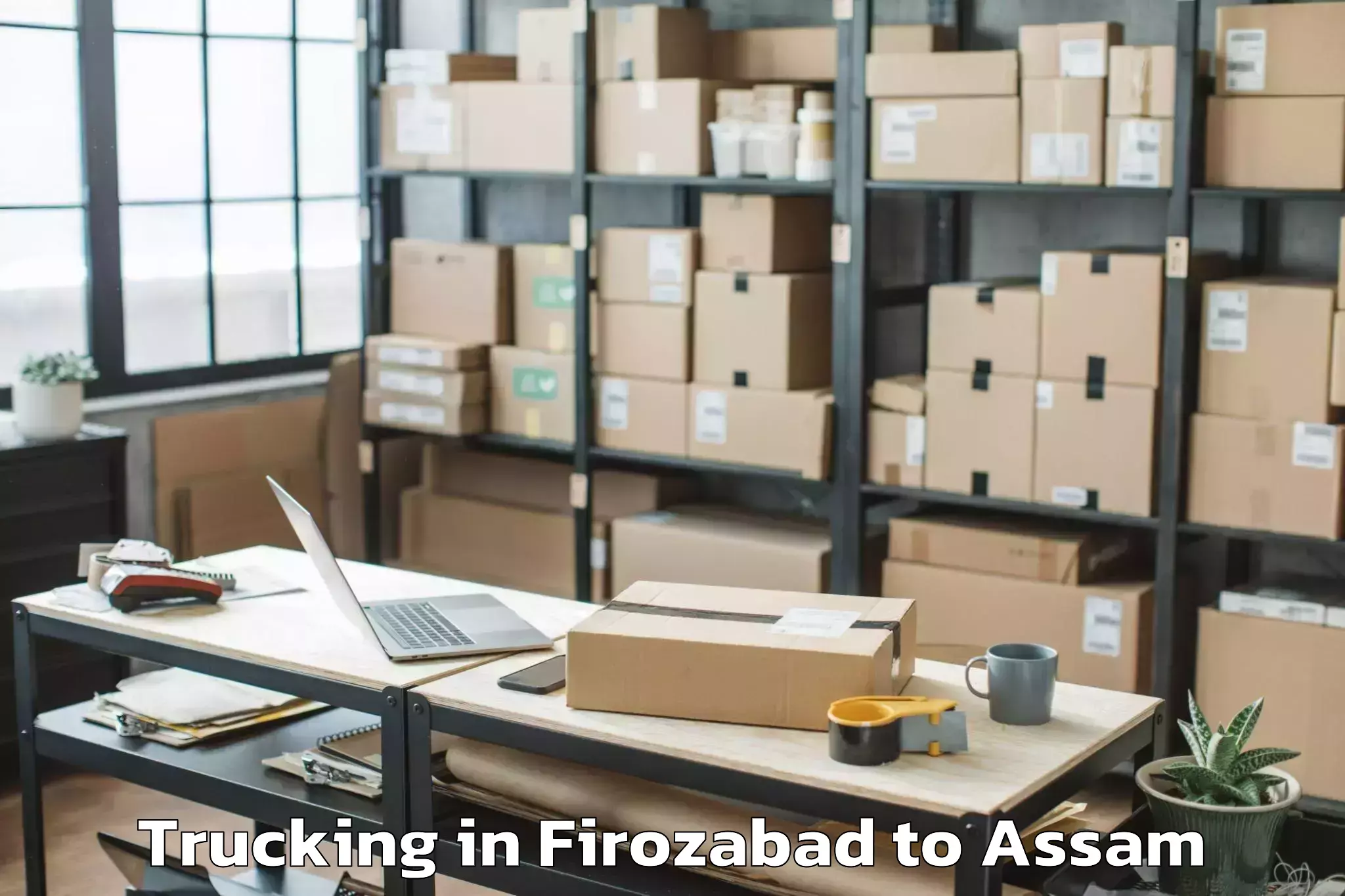 Top Firozabad to Bijni Trucking Available